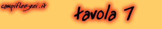 tavola7